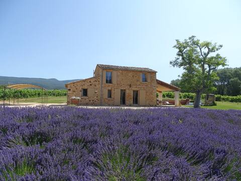 Bastidon with heated pool and private garden