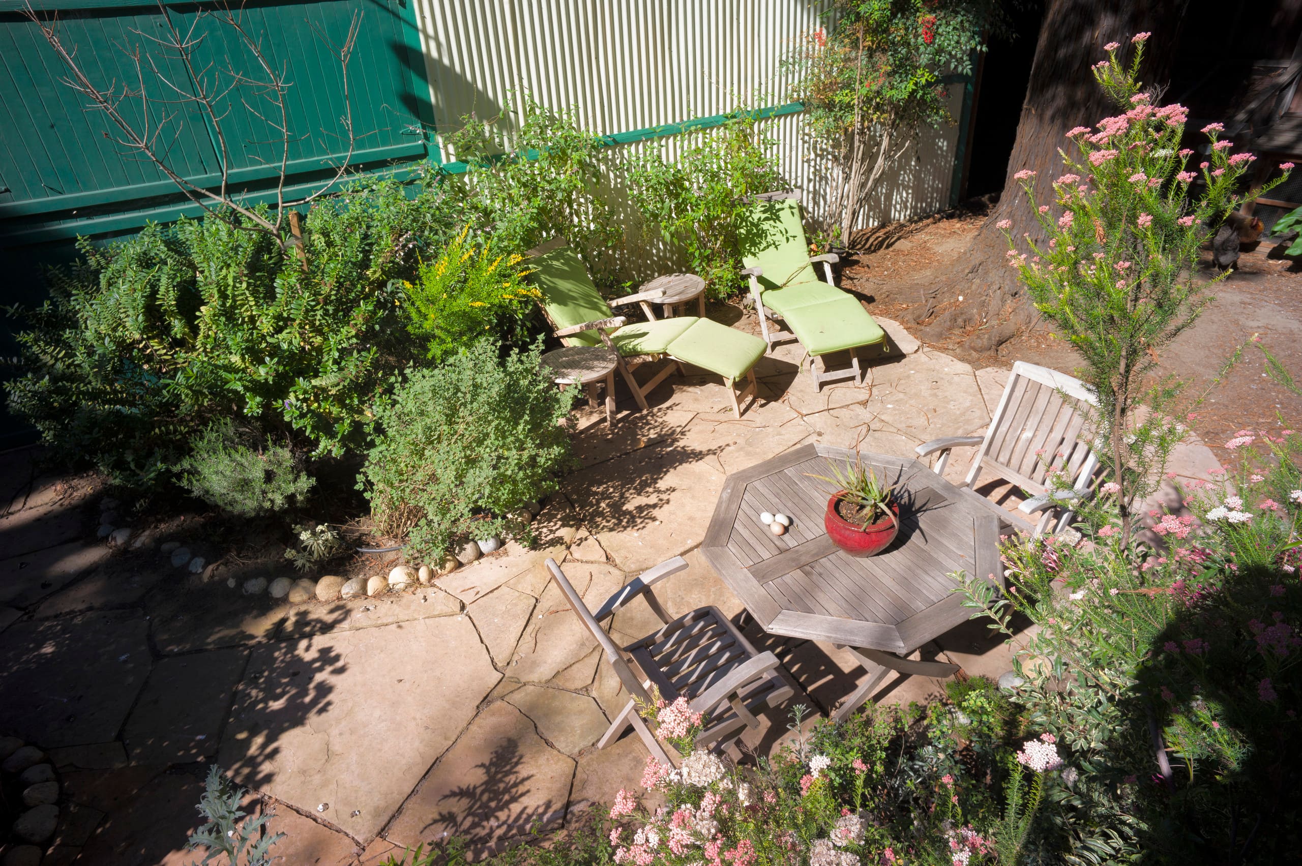 Home in San Francisco · ★4.9 · 6 bedrooms · 8 beds · 2 baths - Image 25