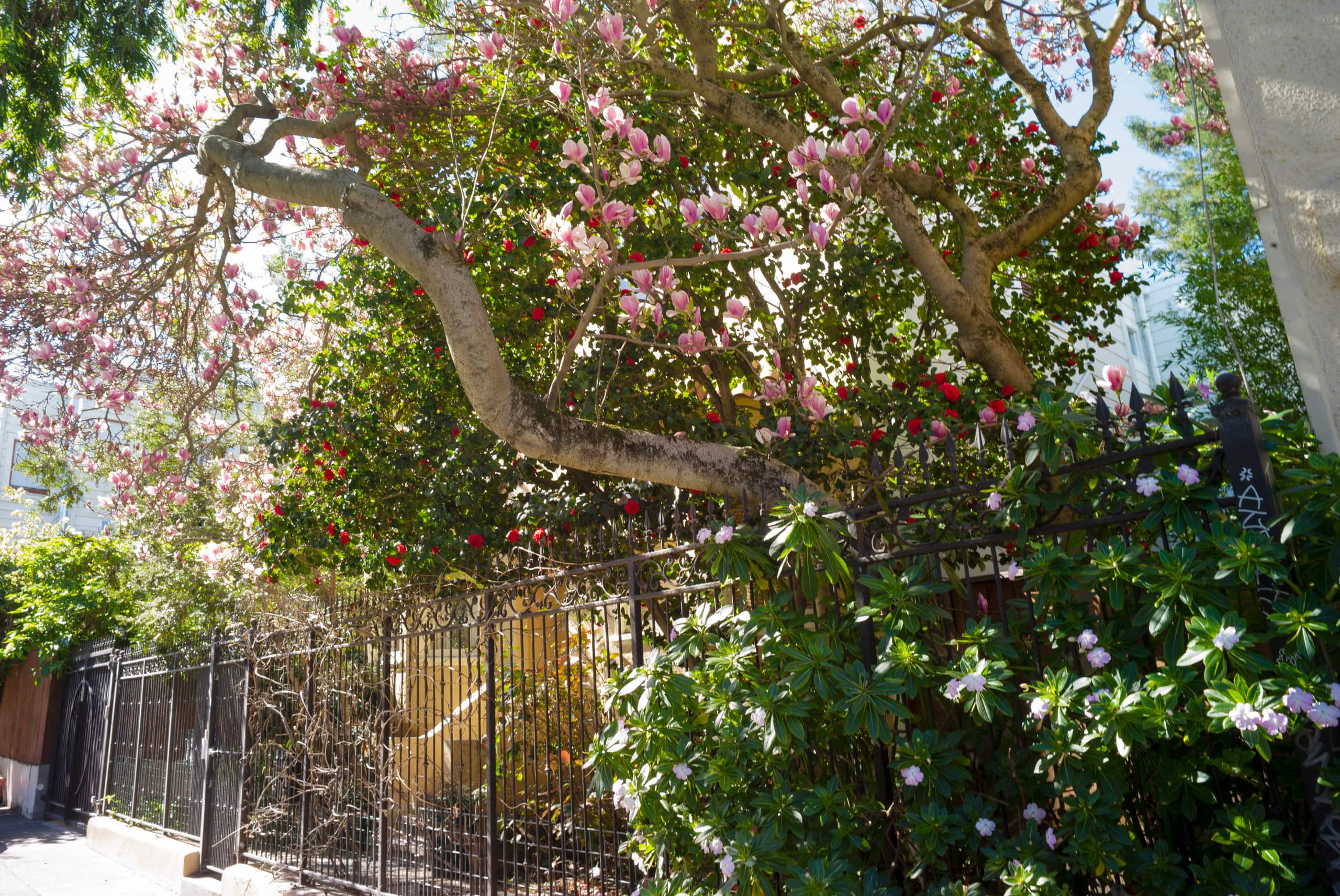 Home in San Francisco · ★4.9 · 6 bedrooms · 8 beds · 2 baths - Image 35