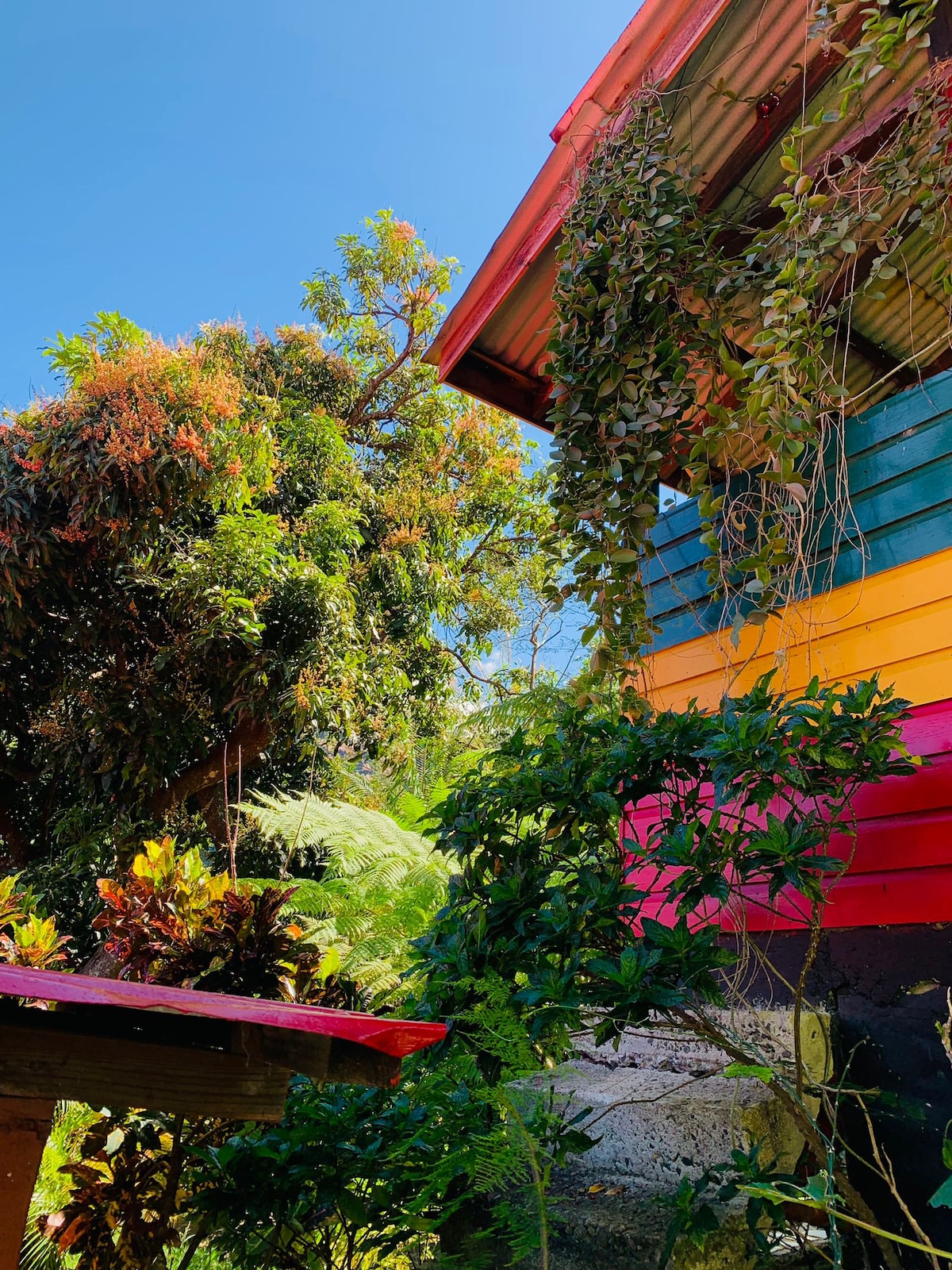 A vibrant exterior of a house is adorned with multicolored wooden planks and lush greenery. Colorful foliage drapes gracefully over the space, reflecting the bright blue sky. The warm tones of the structure create a harmonious connection with the surrounding nature.