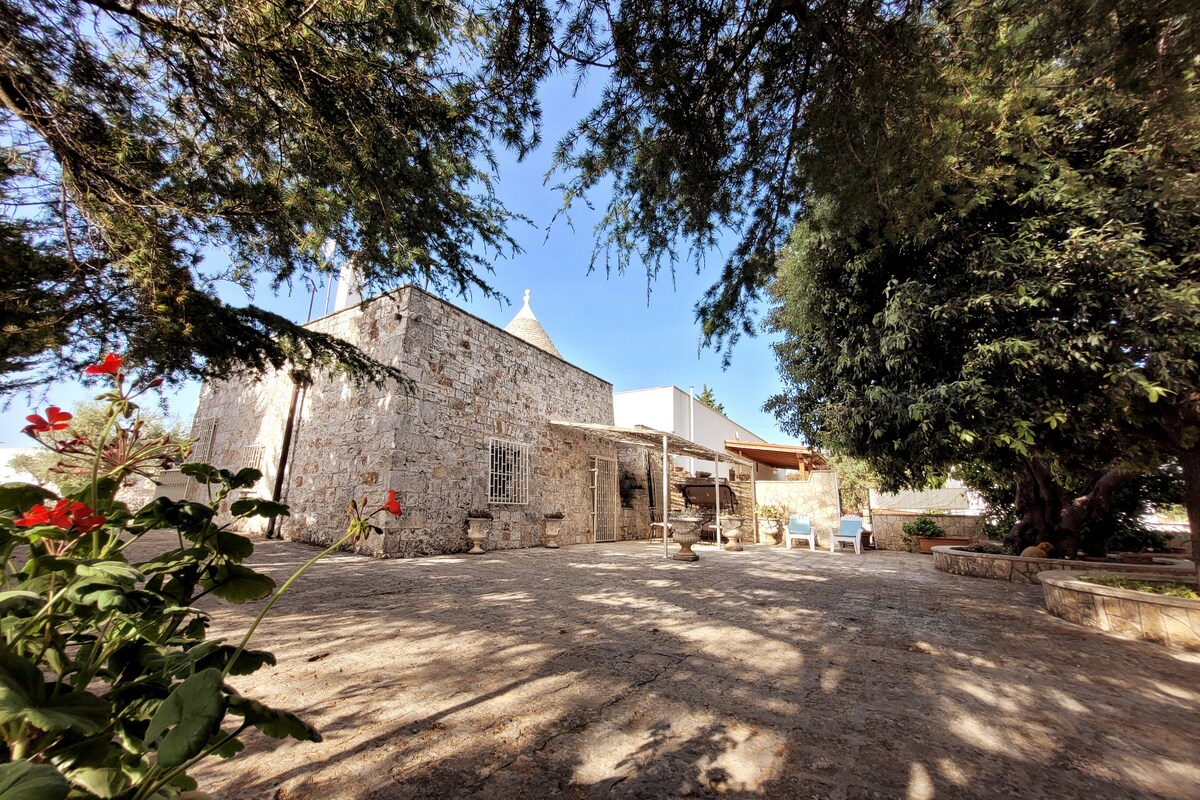 A traditional trullo with a stone exterior is partially shaded by ancient evergreen trees. The surrounding area features a spacious outdoor patio, adorned with potted flowers and equipped with seating options, providing a serene environment under clear blue skies.