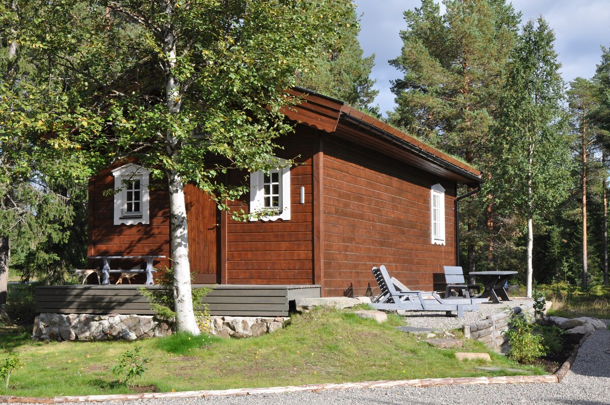 A wooden cabin is nestled among trees, showcasing a traditional design with white window frames. A small porch is present, featuring outdoor seating. Surrounding greenery adds to the natural ambiance, while gravel pathways lead to the entrance.