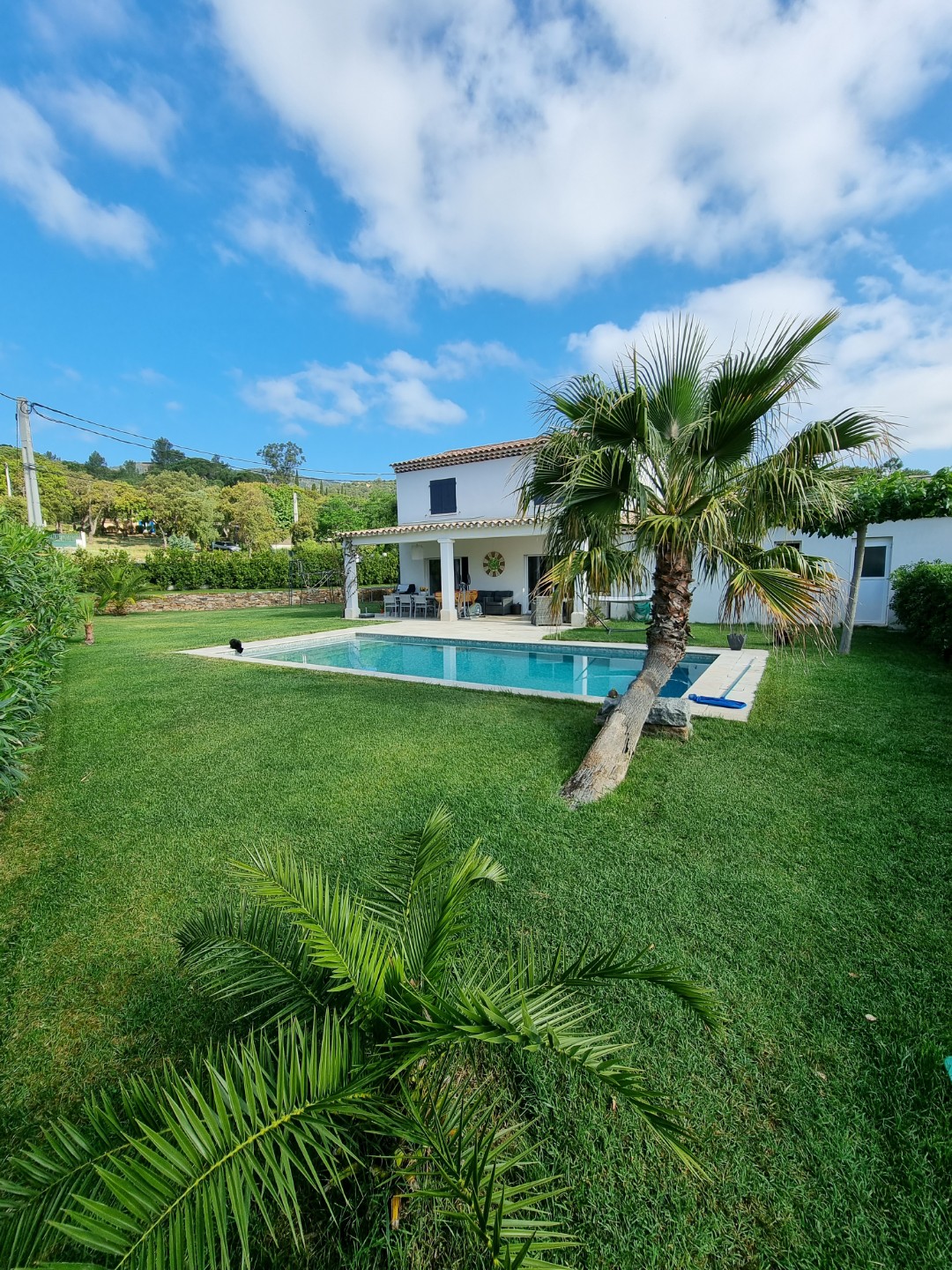 The exterior of a two-story house is surrounded by a well-maintained garden featuring lush green grass and palm trees. A sparkling pool is visible in front of the house, with a tranquil atmosphere created by the blue sky and scattered clouds.