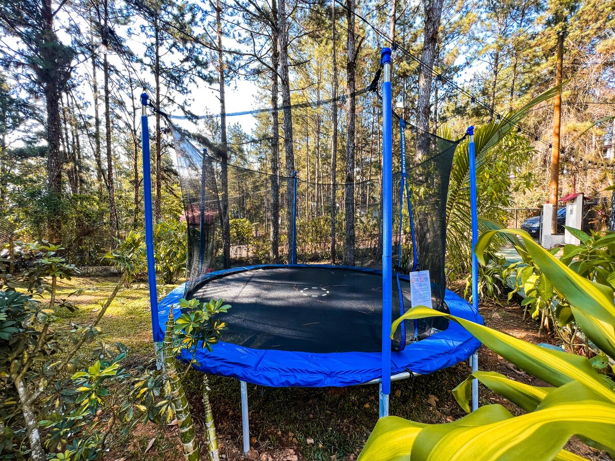 A blue trampoline is situated in a lush, green outdoor area surrounded by tall trees and vibrant foliage. The netted enclosure offers a safe play environment, while the sunlight filters softly through the leaves, creating a serene backdrop for outdoor activities.