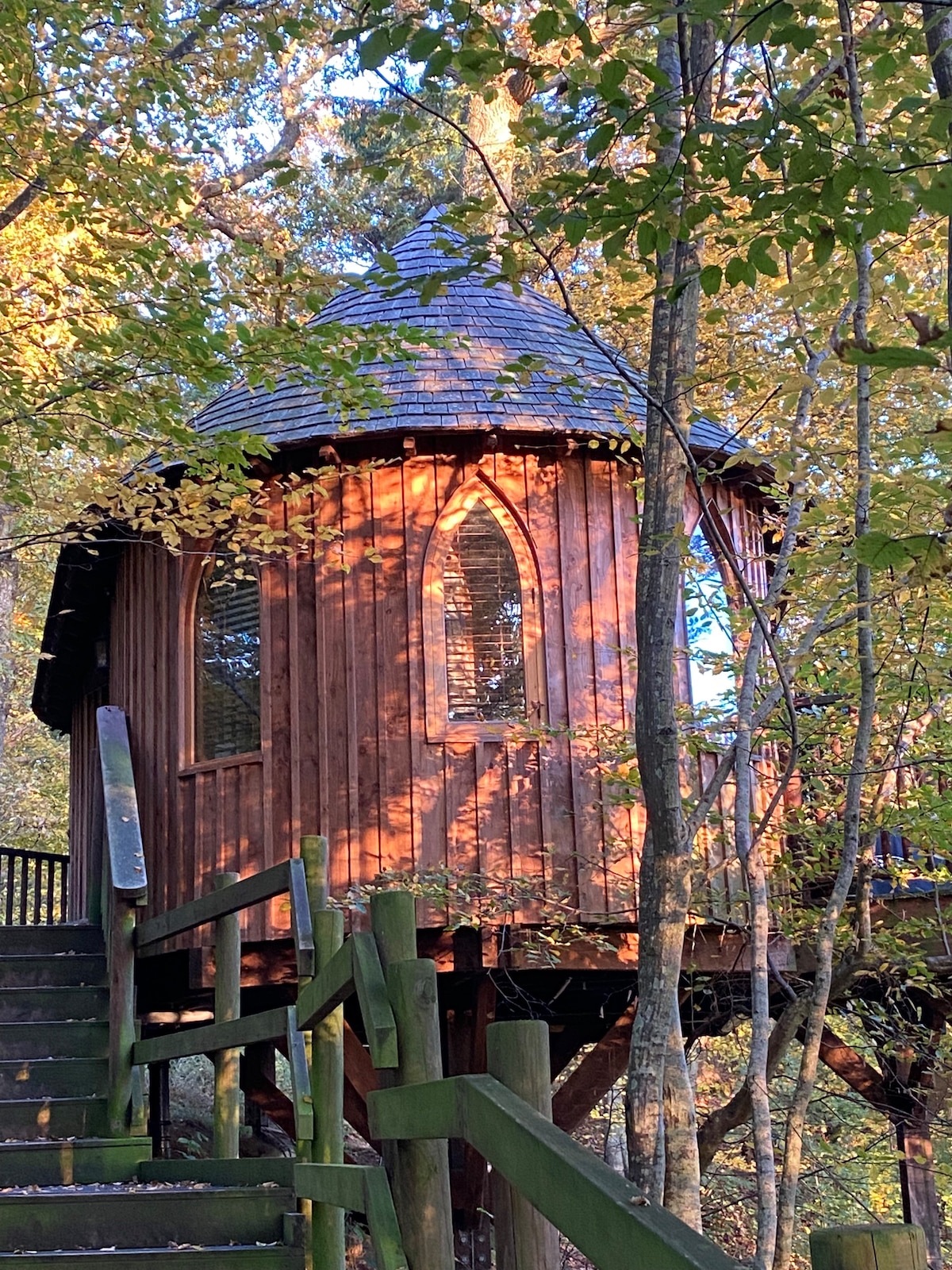 The treehouse, crafted from cedar wood, is nestled among the vibrant autumn foliage. The structure features a distinctive arched window and a conical roof. A staircase leads to the entry, surrounded by natural greenery.