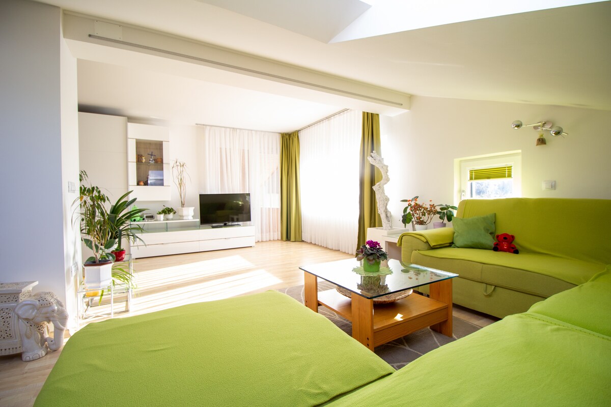 A light-filled living area features a bright green sofa accompanied by a wooden coffee table. Large windows with sheer curtains provide ample natural light, and plants are placed strategically, adding touches of greenery. A television is situated on a modern white media unit.