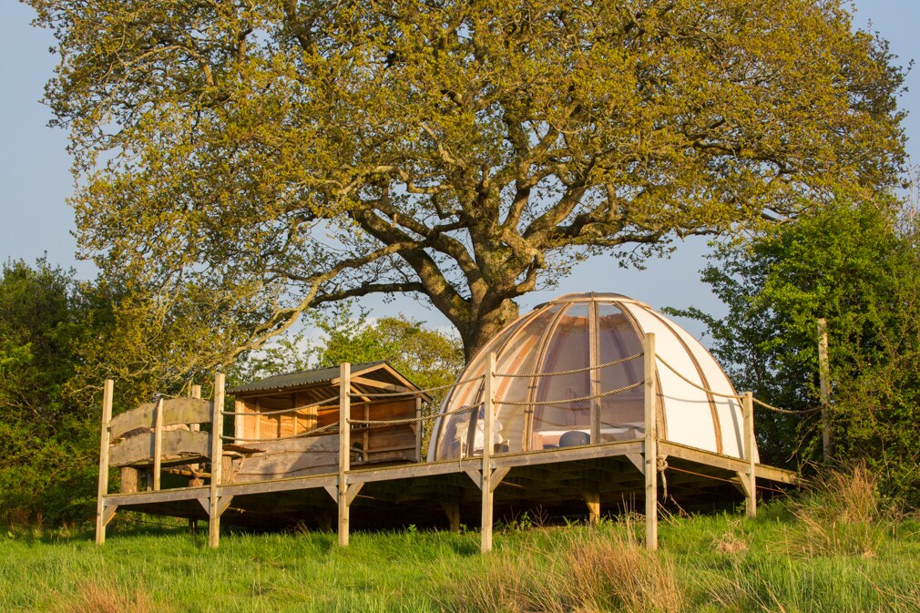 A geodesic dome is positioned on a wooden platform beneath a large oak tree, surrounded by greenery. The structure features transparent panels and handcrafted wooden elements, showcasing a harmonious blend with the natural setting.