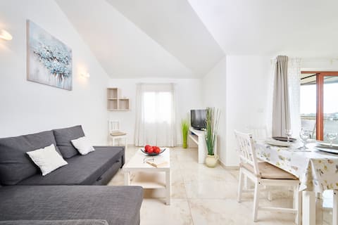 Top performing Airbnb: Elia 1 in Savudrija