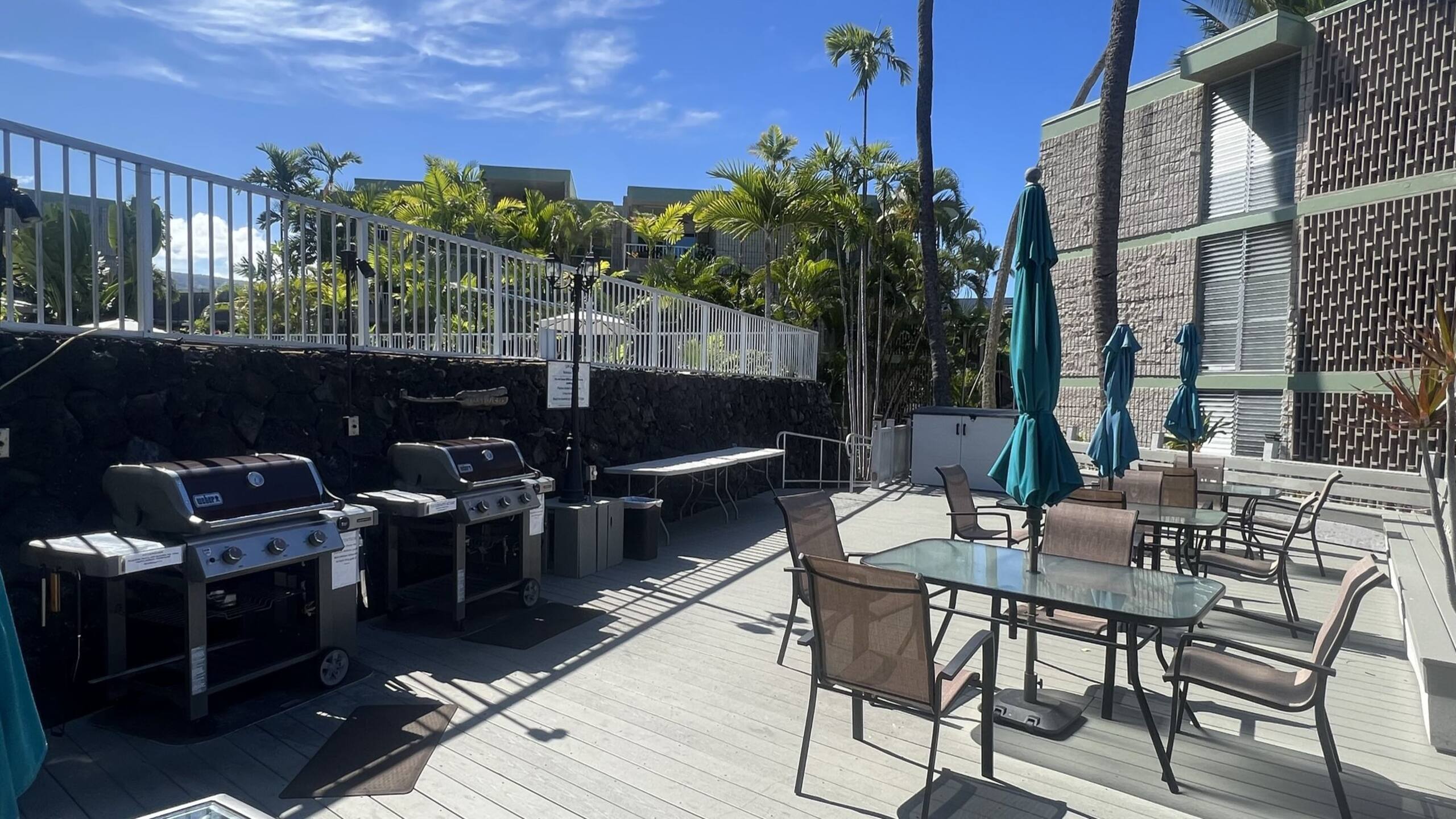 Alii Villas:  2br, 2ba oceanfront condo - Photo 17