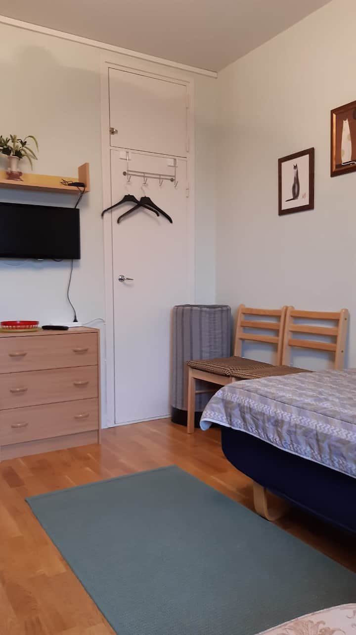 Accommodation in the city center ( Cozy room in two )