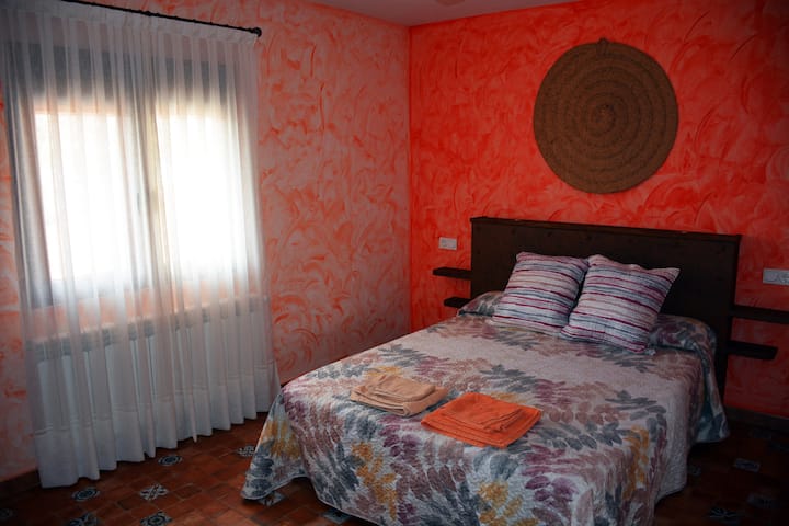 Habitación 1