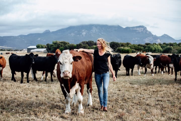 Echo Hills Cottage, Flinders Island