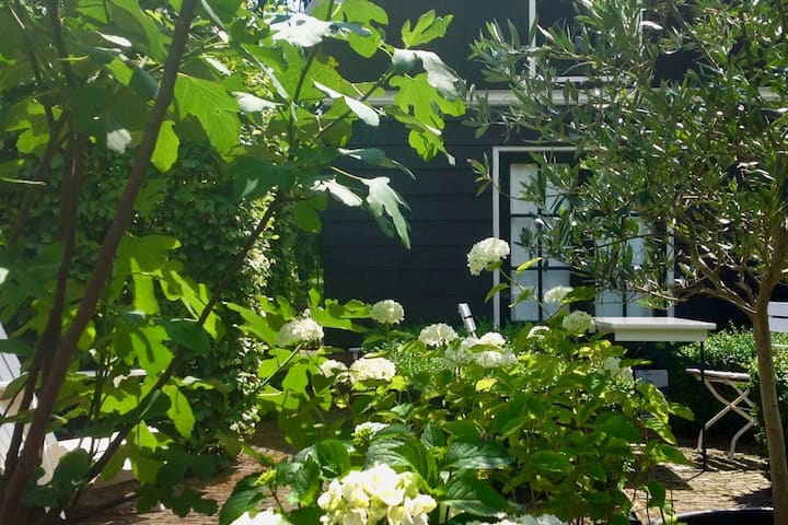 Garden shed on the canal in historic Edam.