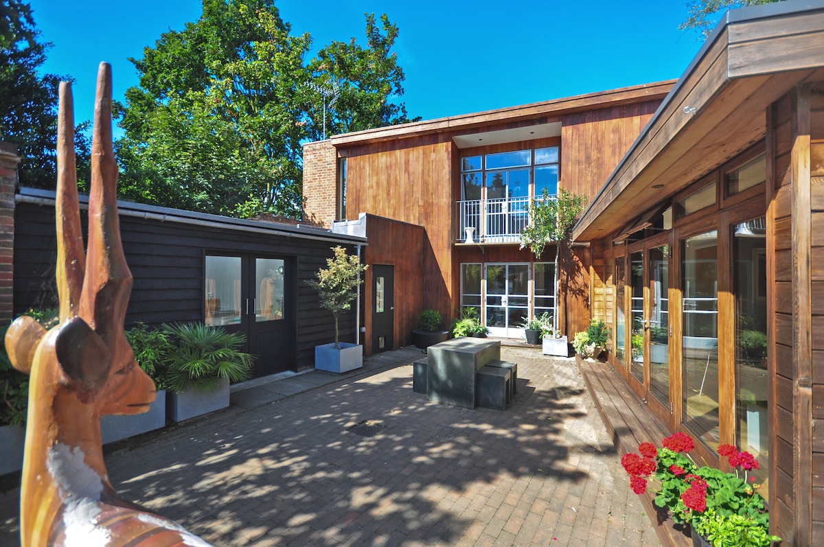The outdoor courtyard features a mix of modern architecture and greenery, highlighted by a wooden deck and large windows. A decorative wooden sculpture adds character, while flower pots with vibrant red blooms are positioned around the space, enhancing the inviting ambiance.