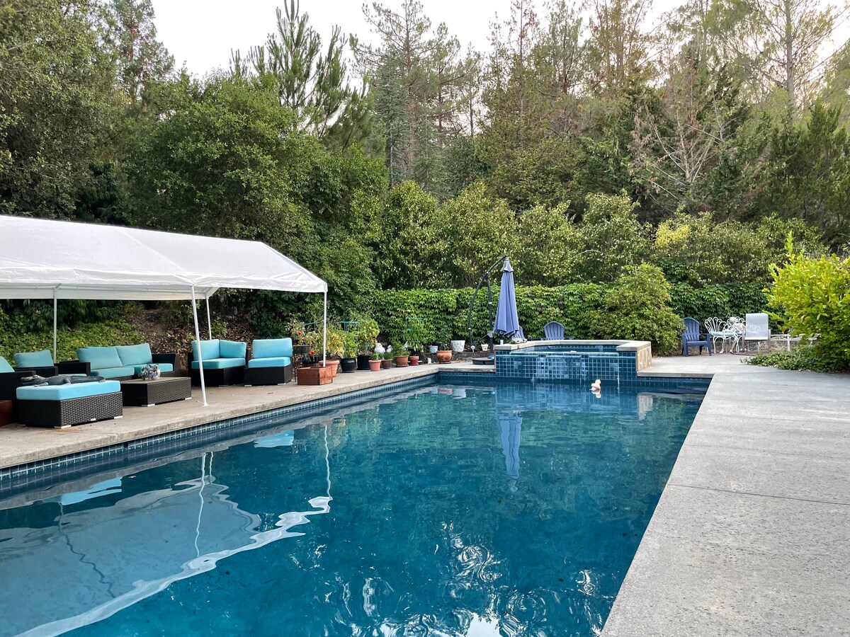 A spacious outdoor area features a clear swimming pool surrounded by lush greenery. A covered seating area is visible, along with a table and chairs. An umbrella provides shade on one side of the pool, and potted plants line the edges, adding to the serene environment.