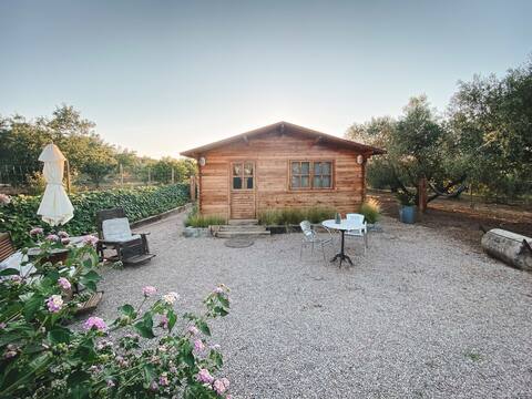 Cozy cabin with garden and private pool