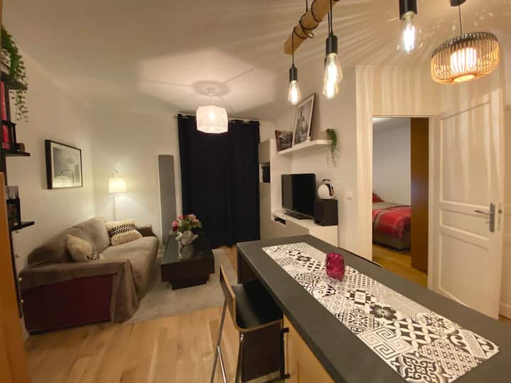 Lovely & cosy apartment in the village Faidherbe !