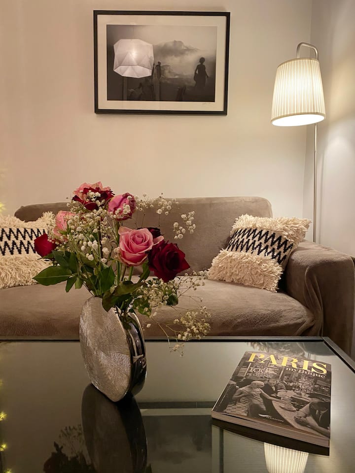 Lovely & cosy apartment in the village Faidherbe !