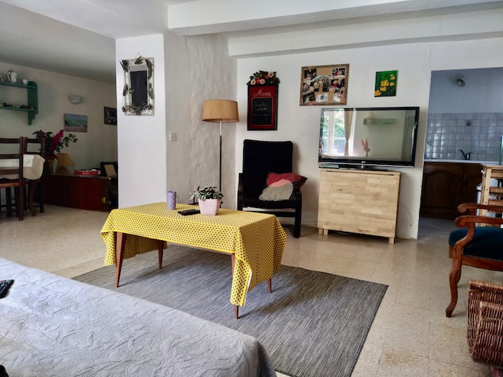 סלון
ספה נפתחת זוגית, טלוויזיה חכמה.