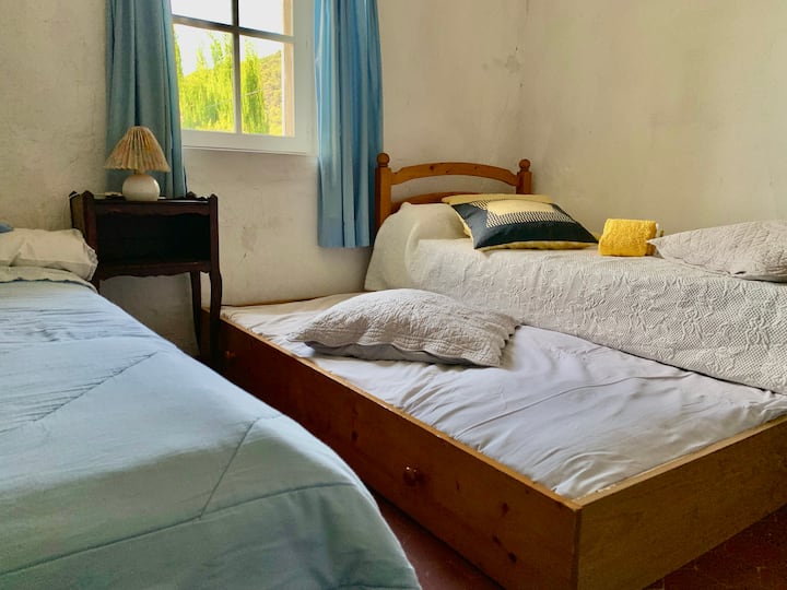 המעונות.
4 מיטות יחיד.