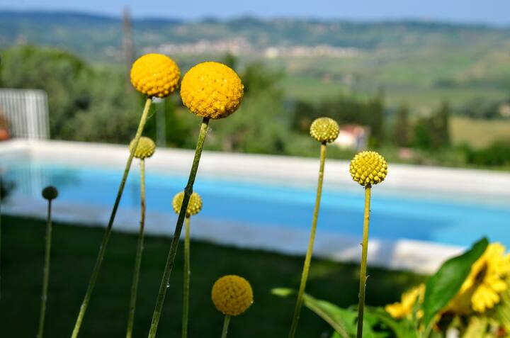 Casa Luna-Splendida overlooking the pool and Tuscan nature