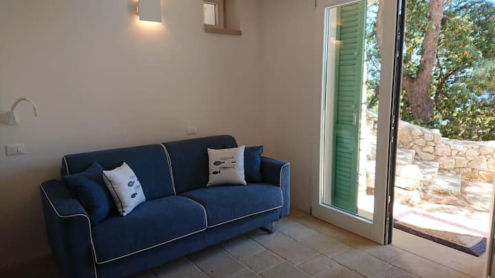 Stan s 1 spavaćom sobom: spavaća soba otvorena na terasi