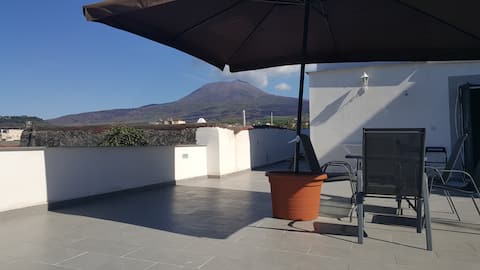 Villa Vesuviana Apartment with Private Rooftop