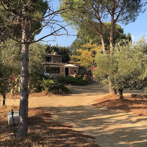 House for rent in Grans, 10 people + pool