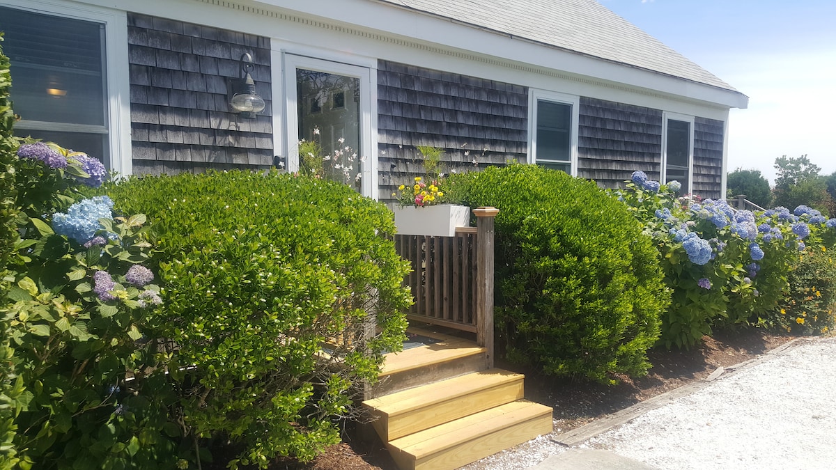 The exterior of the Cape Cod beach house is surrounded by well-maintained shrubs and blue hydrangeas. A wooden staircase leads to the entrance, accentuated by a small planter overflowing with colorful flowers. The shingle siding reflects a classic coastal style.