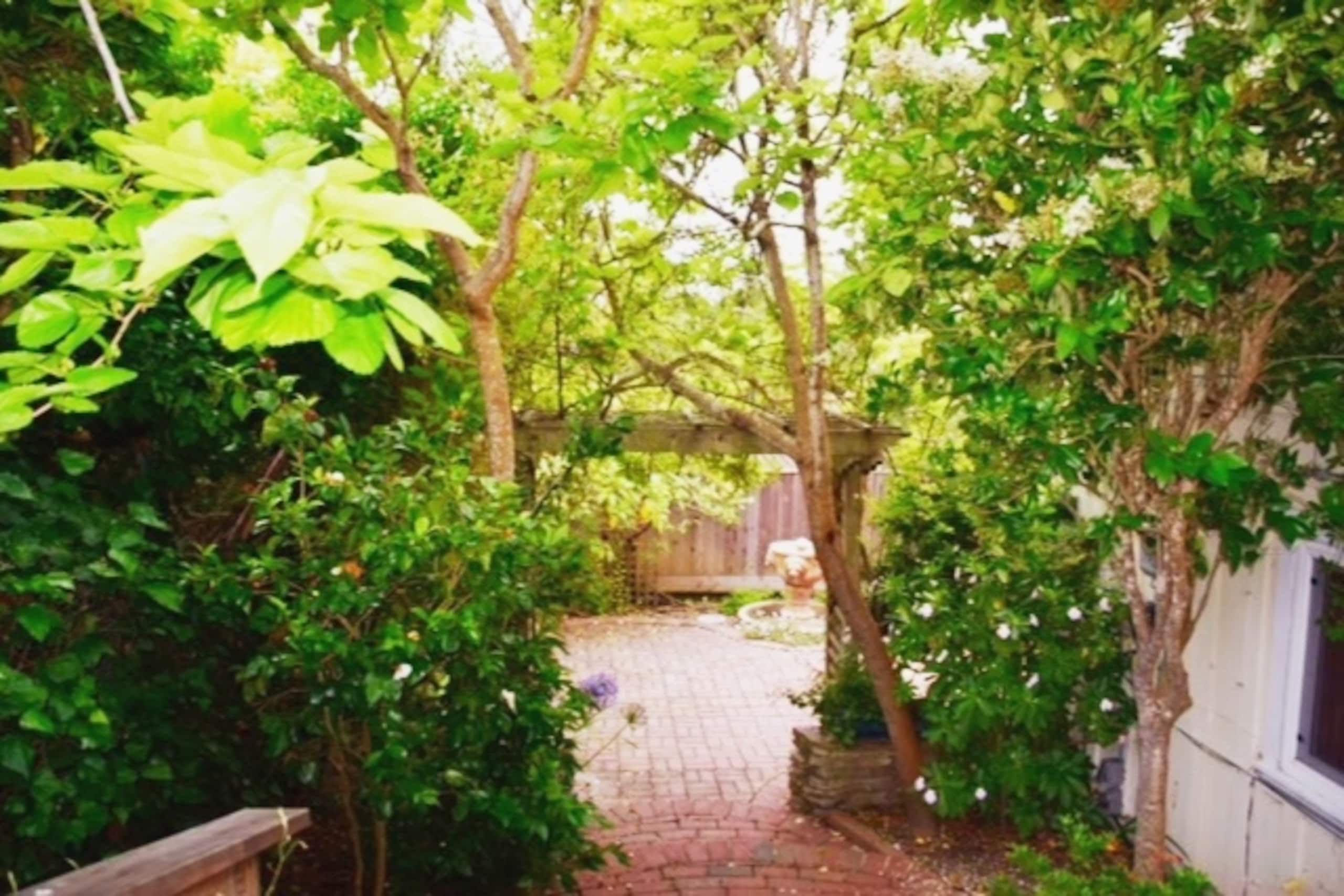 Charming Treehouse-Style Home Near Carmel - Photo 48