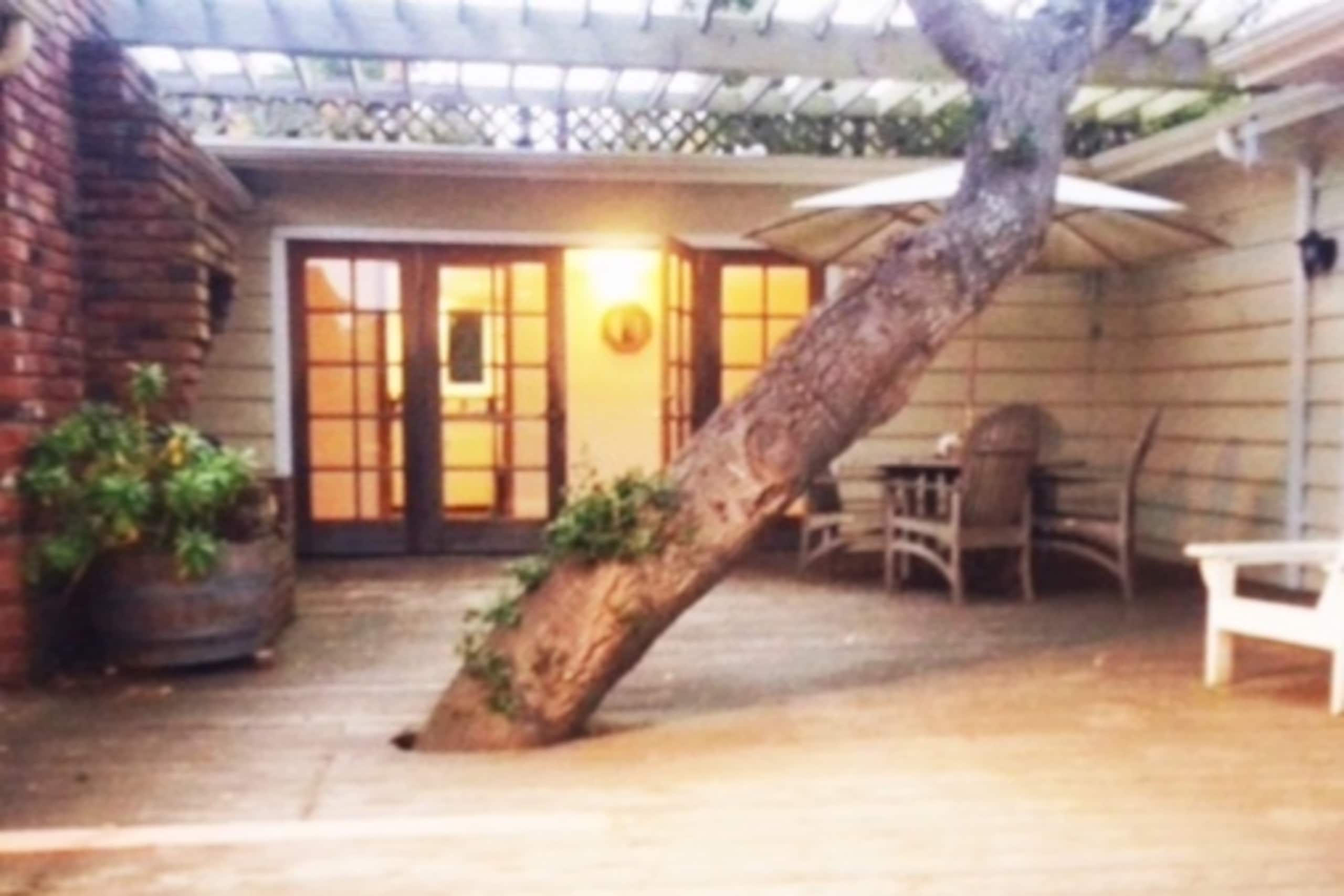 Charming Treehouse-Style Home Near Carmel - Photo 51