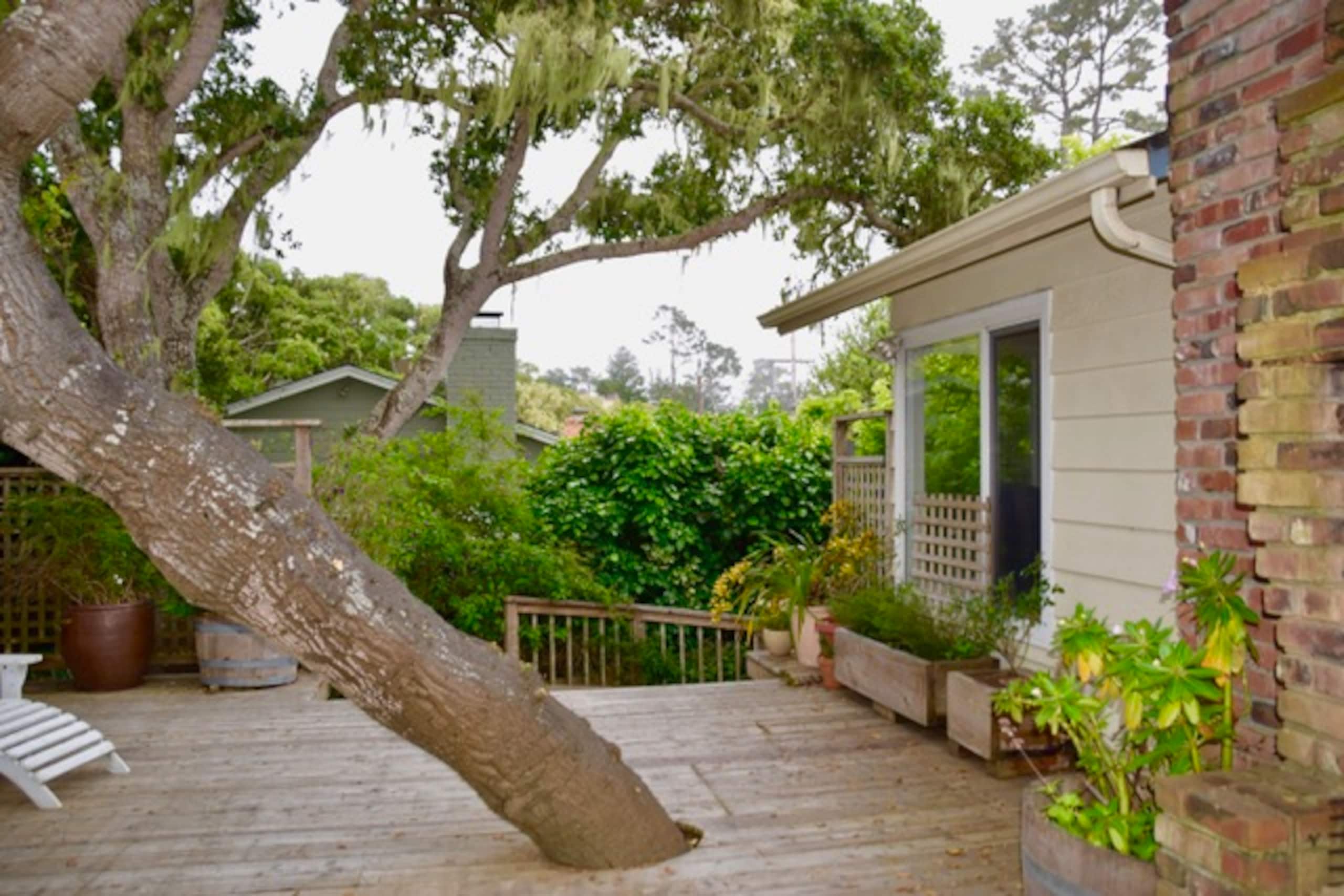 Charming Treehouse-Style Home Near Carmel - Photo 54