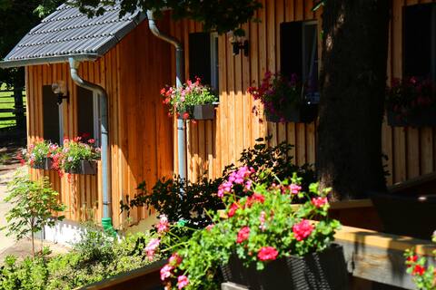 Vacation home Lilie Hof Stallegg