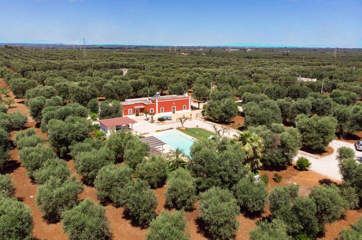 Wonderful old farmahouse in Puglia gallery image 2