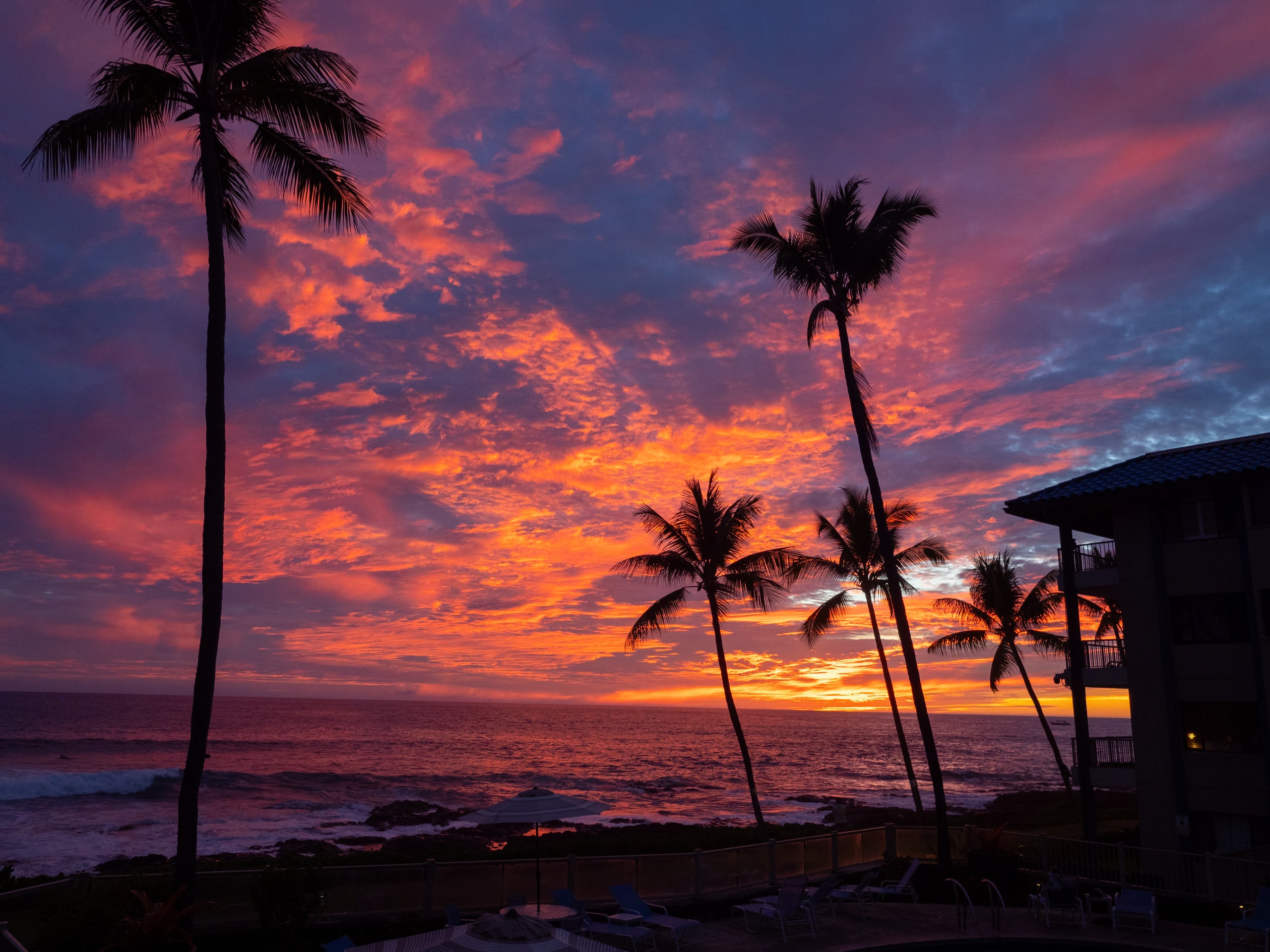 Condo in Kailua-Kona · ★4.97 · 1 bedroom · 2 beds · 1 bath - Image 30