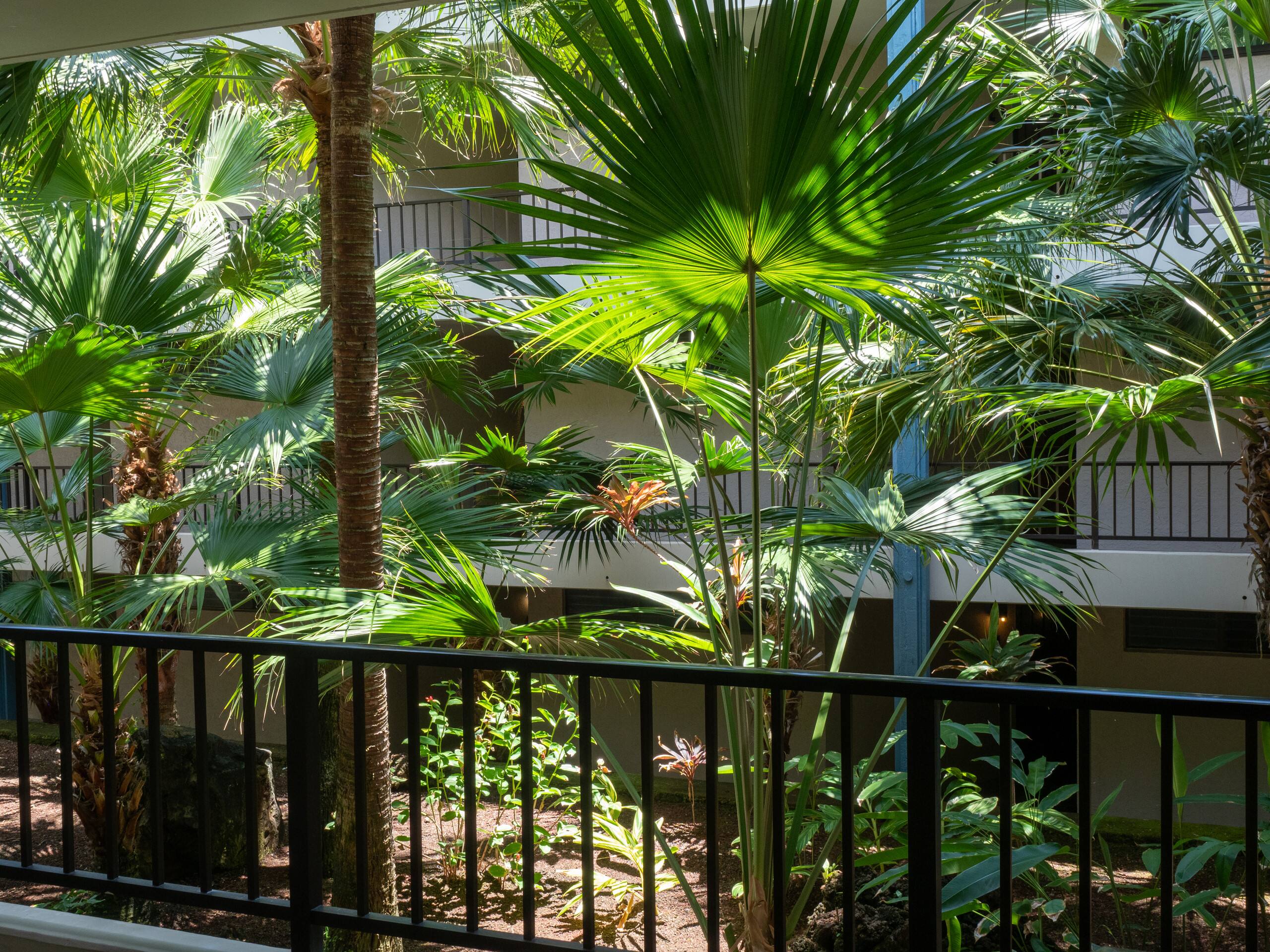 Condo in Kailua-Kona · ★4.97 · 1 bedroom · 2 beds · 1 bath - Image 25