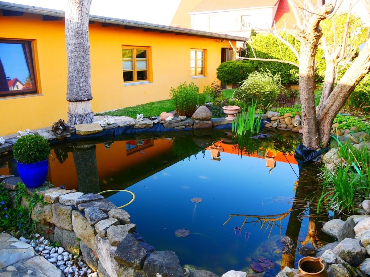 A tranquil garden features a clear pond surrounded by assorted stones and greenery. Bright yellow walls of the house are visible in the background, with reflections shimmering on the pond's surface. Potted plants and trees enhance the serene outdoor space.
