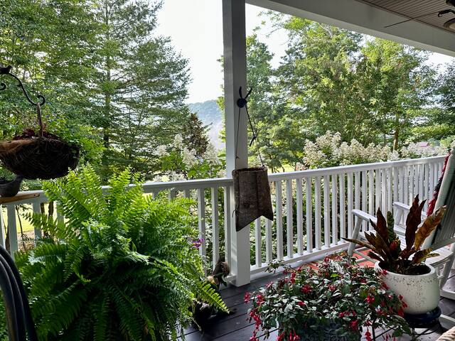 Minutes to Downtown Asheville! New sunroom! gallery image 4