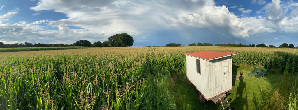 The tiny house is positioned on a grassy area surrounded by tall cornfields that stretch far into the distance. Under a blue sky with scattered clouds, a seating area with two lounge chairs is visible beside the house, offering a serene view of the natural landscape.
