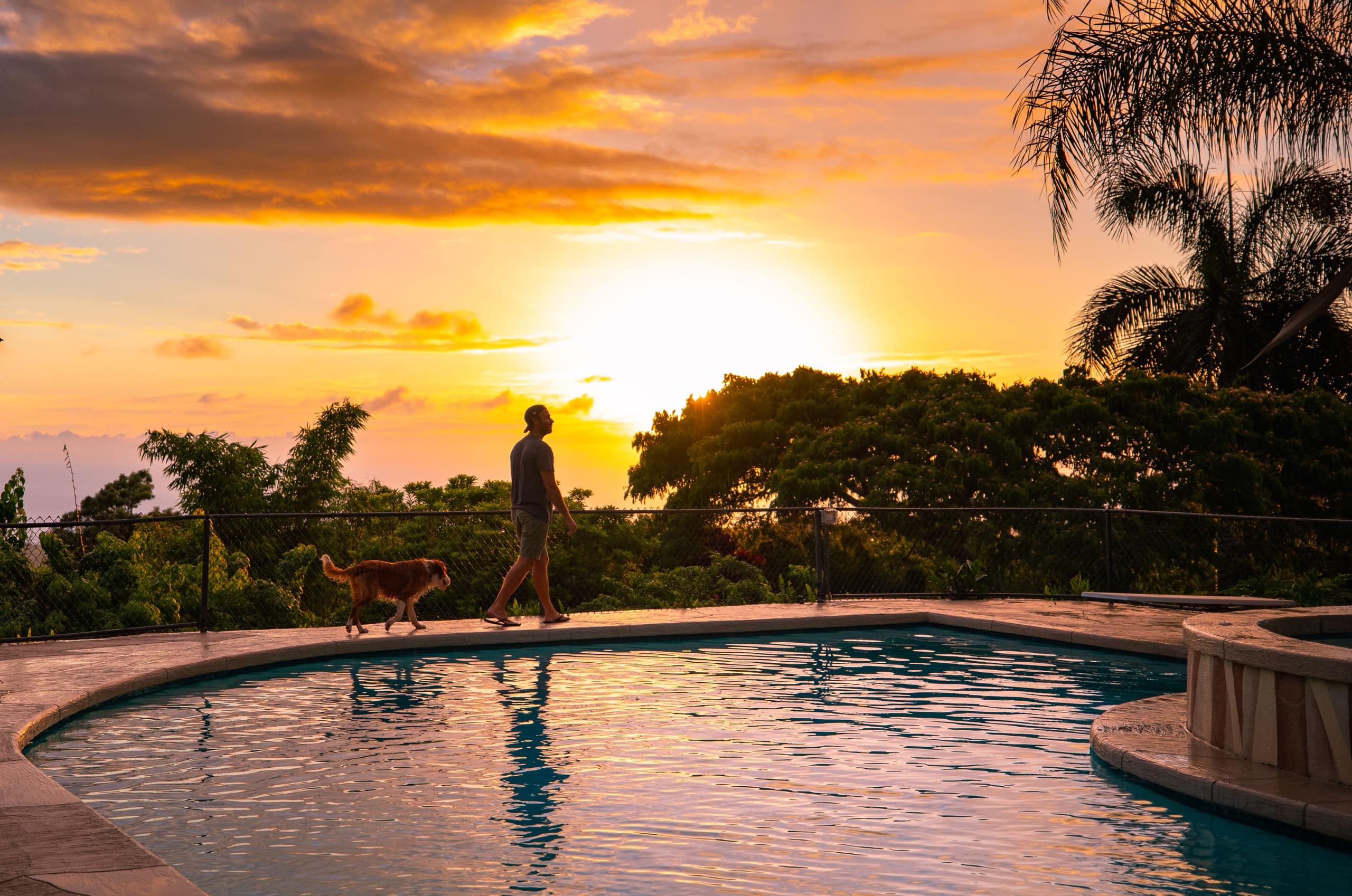 Home in Kailua-Kona · ★4.96 · 2 bedrooms · 3 beds · 1.5 baths - Image 3