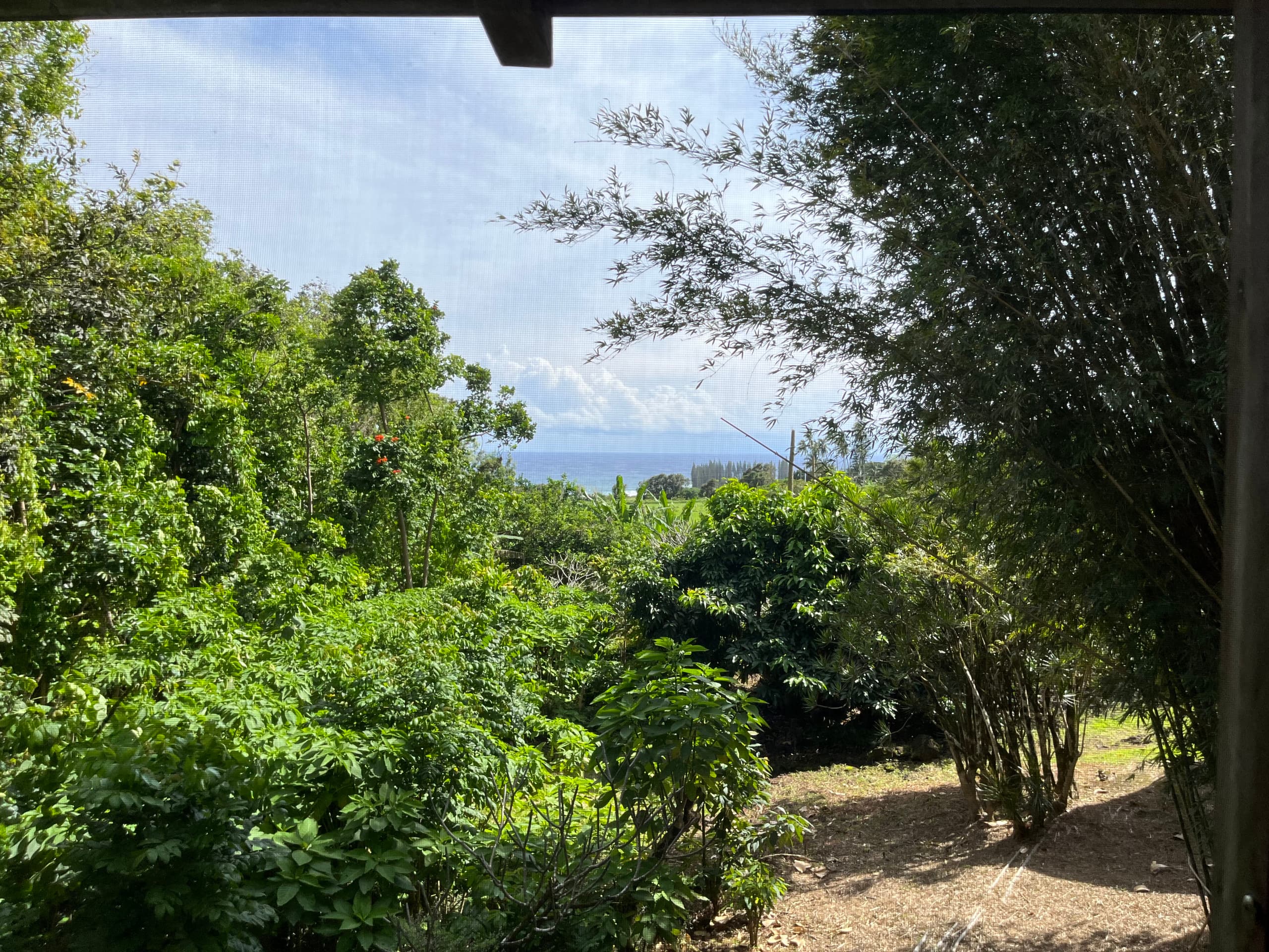 Romantic Hamoa Bay Bungalow - Photo 39