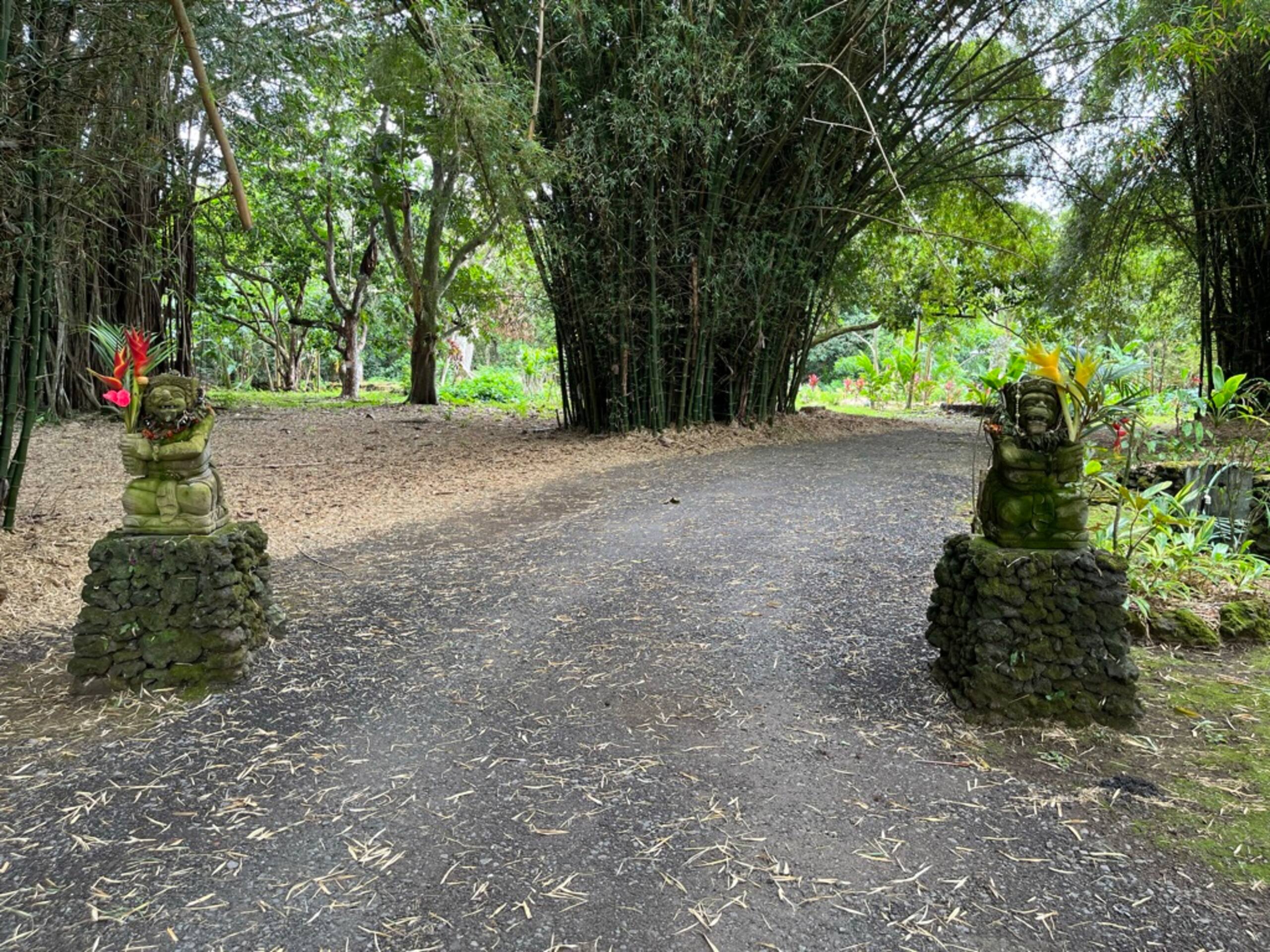 Romantic Hamoa Bay Bungalow - Photo 31