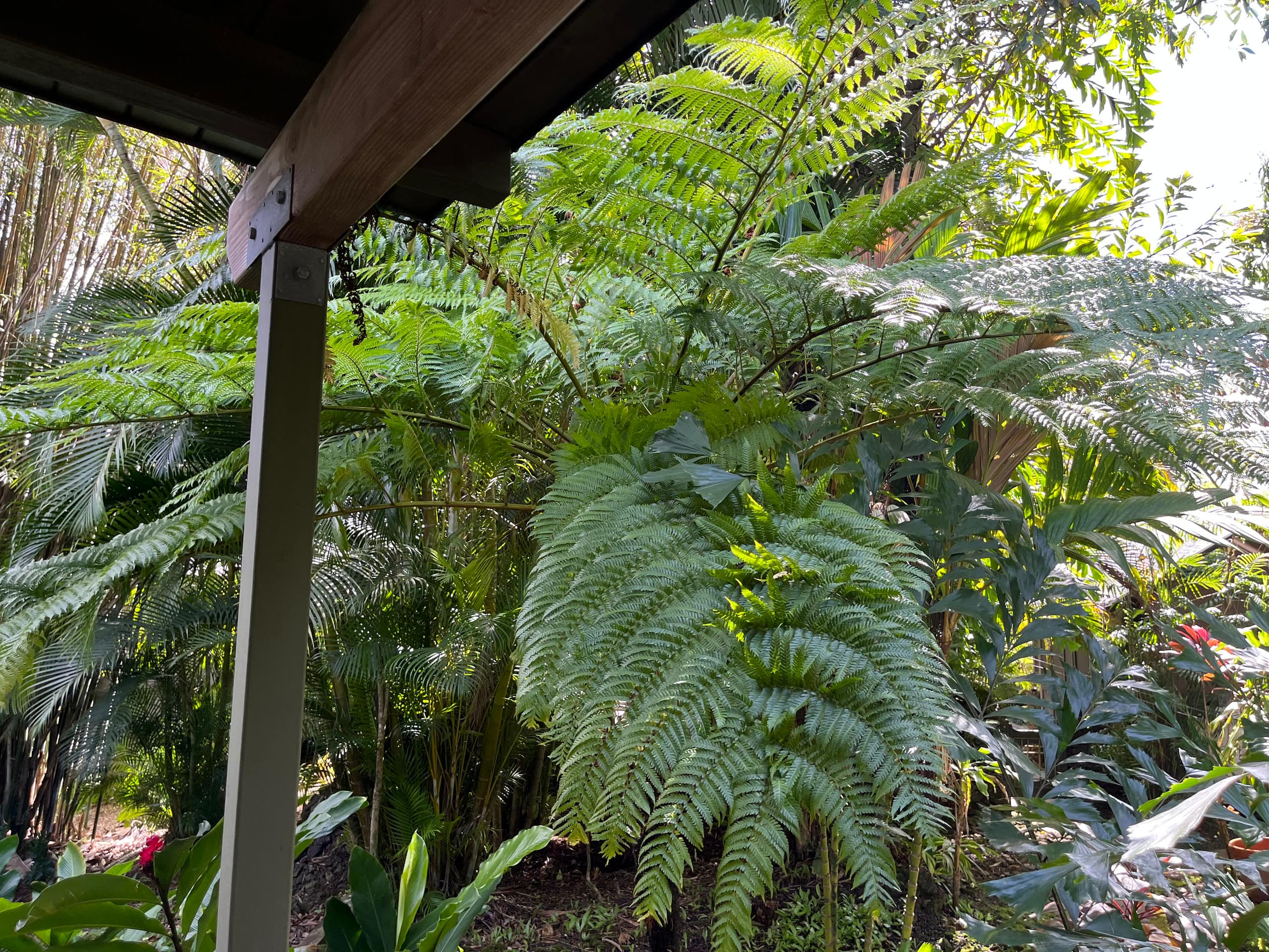 Romantic Hamoa Bay Bungalow - Photo 38