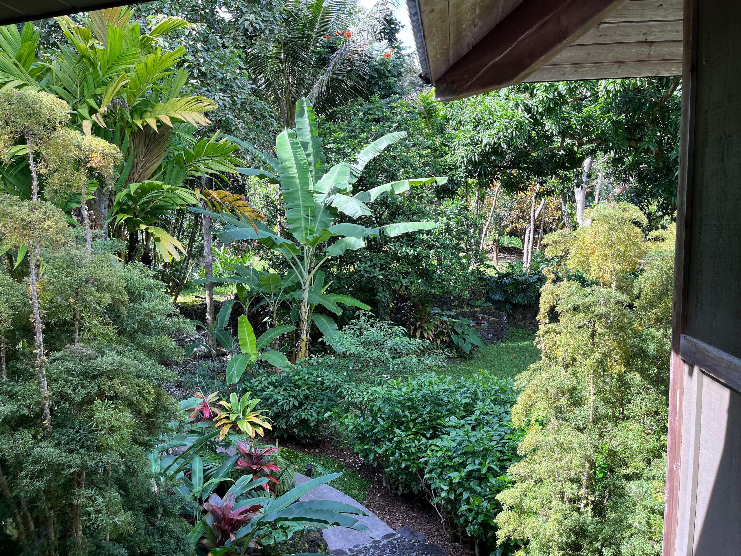 Romantic Hamoa Bay Bungalow - Photo 41