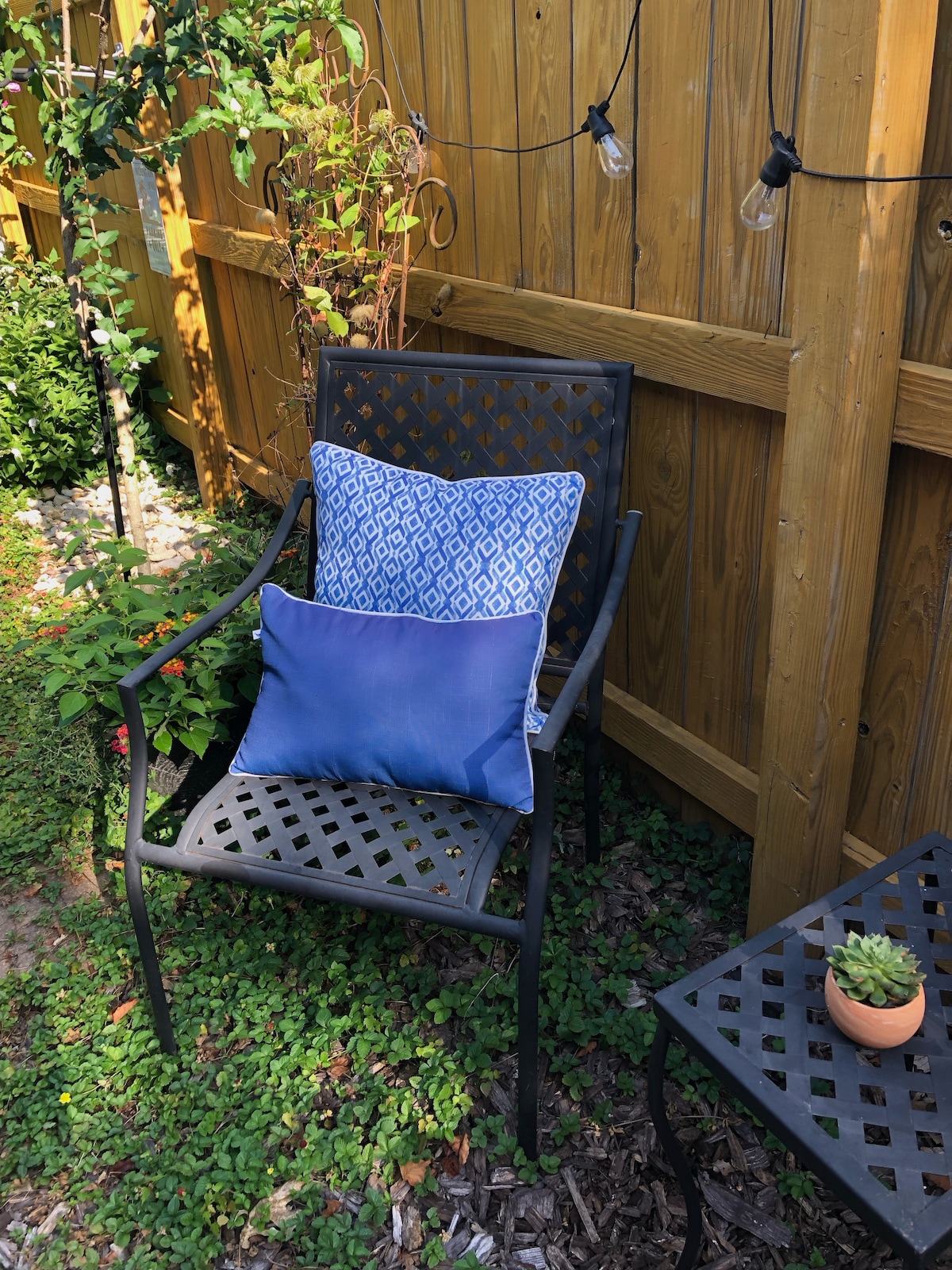 A black metal chair adorned with two decorative pillows is positioned next to a small table featuring a potted succulent. The chair sits on a grassy area surrounded by a wooden fence and greenery, with soft overhead lighting creating a relaxed atmosphere.