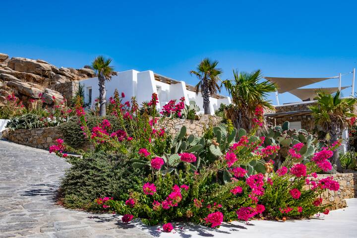 Gated 2 BDR Villa • Private Pool • Guard onsite