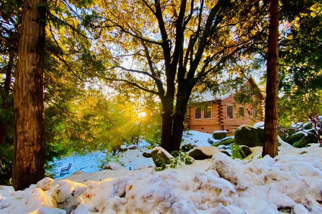Experiencing an Unique Log Cabin at Timbered Pines Cabins for Rent in