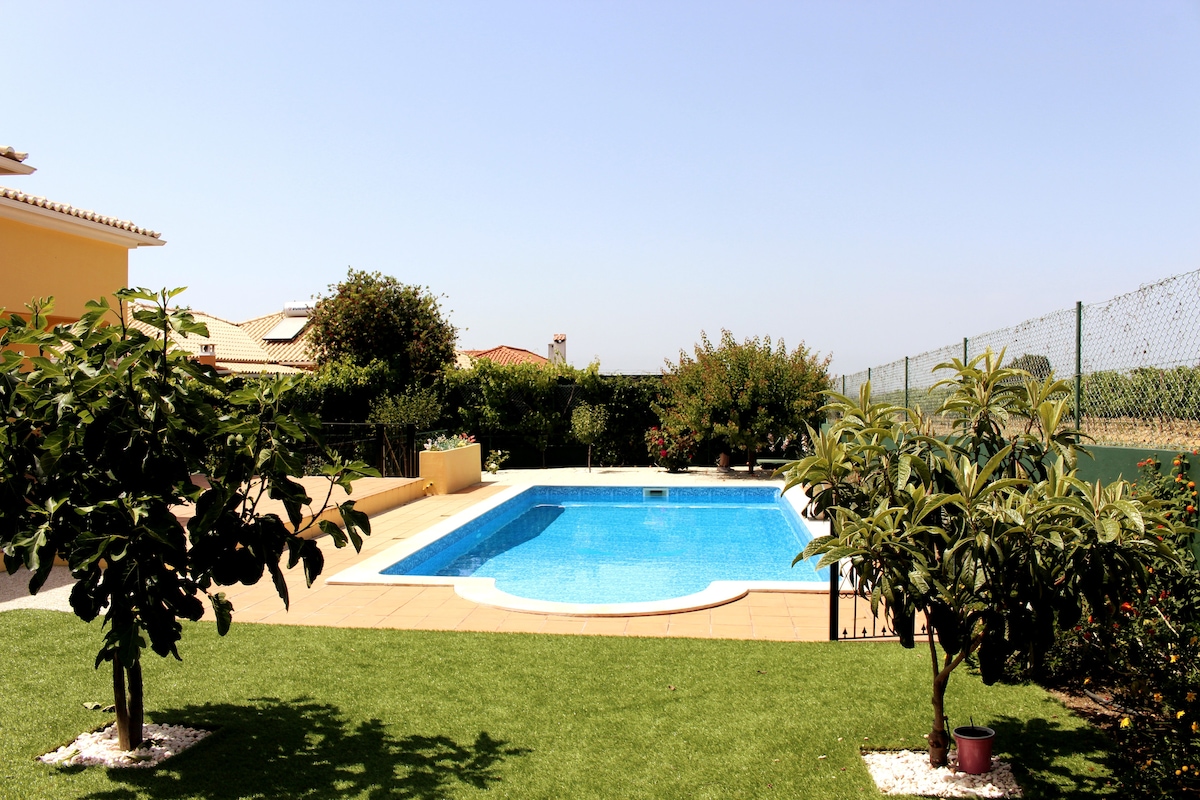 A refreshing pool is framed by well-maintained grass and vibrant foliage. Surrounding landscaping includes small trees and shrubs, contributing to a serene outdoor setting. A clear blue sky provides ample natural light, enhancing the inviting ambiance of the space.