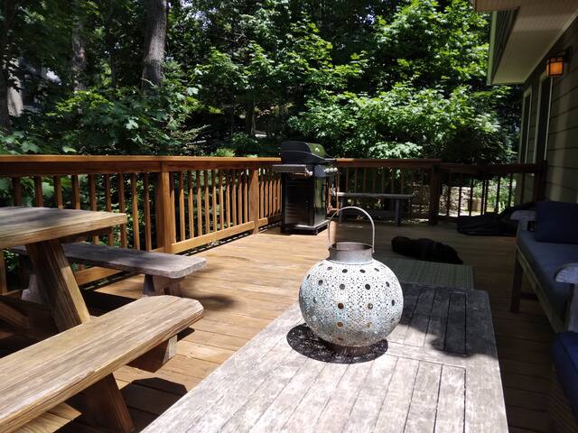 Large, sunny hilltop home, nature lovers’ paradise gallery image 3