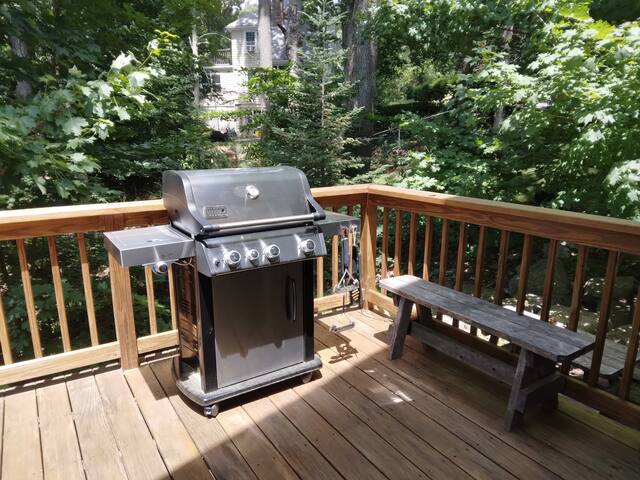 Large, sunny hilltop home, nature lovers’ paradise gallery image 4